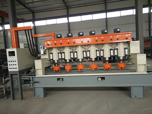 Six head fully automatic lychee noodle machine