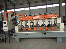 Six head fully automatic lychee noodle machine